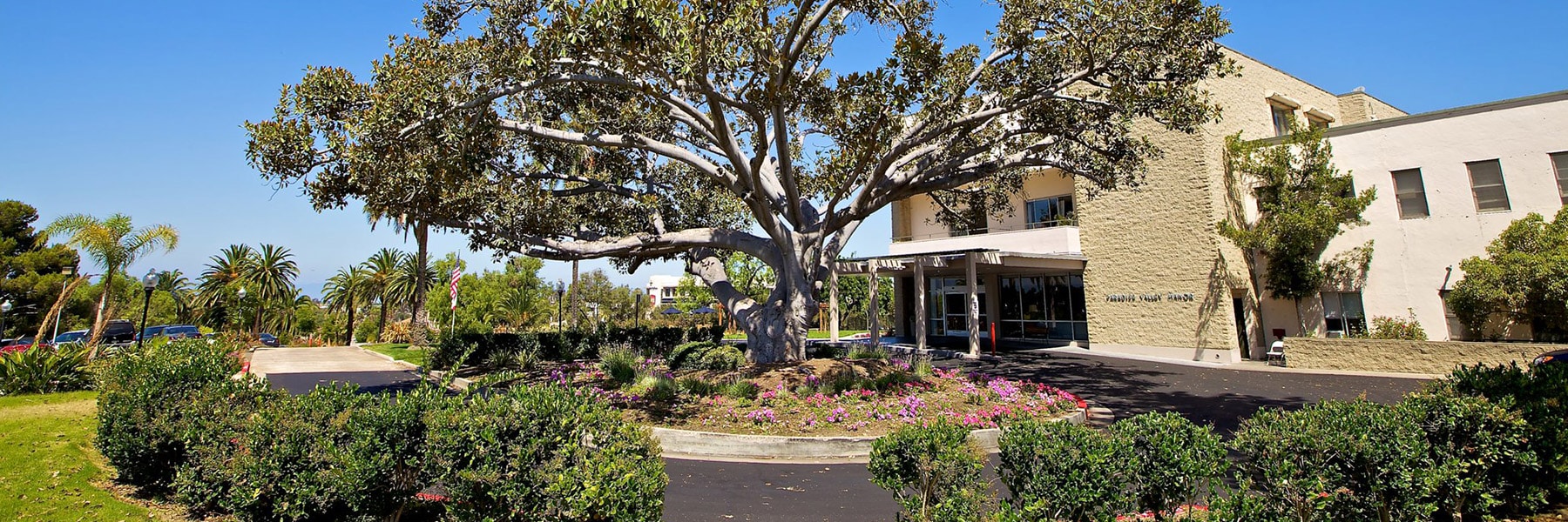 Desktop Background Image